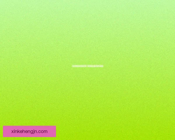 大掌门游戏攻略全解析 从入门到高手的成长之路